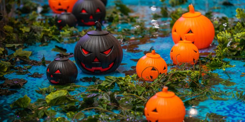 piscine halloween